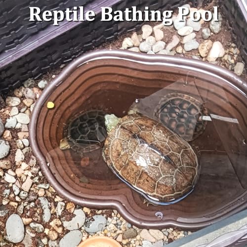 Reptile Bathing Pool 7 Pcs Tortoise Water Dish with Ramp Extra Large Turtle Feeding Bowl with Steps Reptile Food & Water Dishes 2-in-1 Gecko Habitat Decoration Accessories Lizard Bath Tub