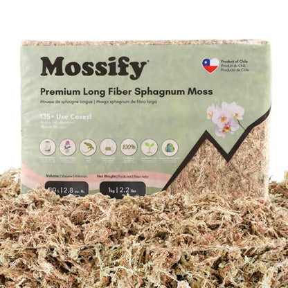Mossify Premium Sphagnum Moss for Plants 1kg, 2.2 lbs - Long Fiber Moss for Plants Indoor, Orchids, Terrariums, Gardening, Reptiles – Moisture Plant Moss for Propagation, Soil & Habitat Bedding - size: 1kg (2.2 lbs)
