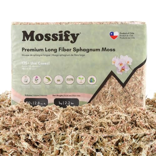 Mossify Premium Sphagnum Moss for Plants 1kg, 2.2 lbs - Long Fiber Moss for Plants Indoor, Orchids, Terrariums, Gardening, Reptiles – Moisture Plant Moss for Propagation, Soil & Habitat Bedding - size: 1kg (2.2 lbs)