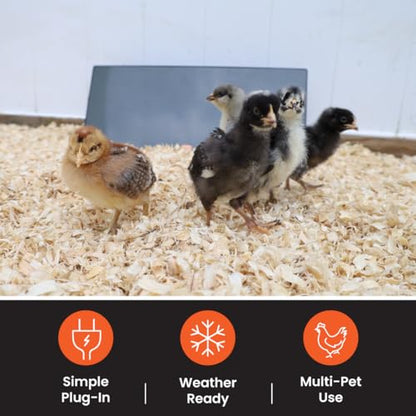 Cozy Products Cozy Coop, Chicken Coop Heater, Flat-Panel Radiant Heater with Thermal Protector, Energy-Efficient, Easy to Install, Ideal for Small Animals, 200 Watts, Black