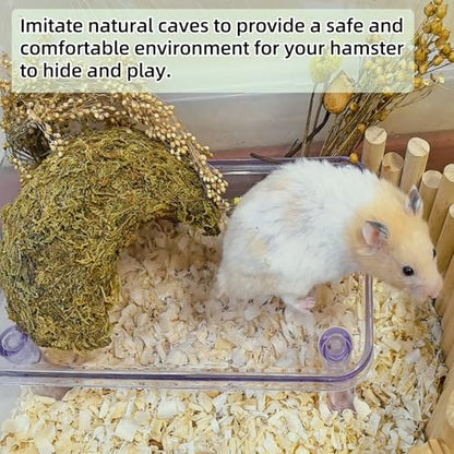 kathson 2Pcs Hamster Hideout, Hamster House, Natural Mossy Coconut Hut, Pet Hiding House, Small Animal Cage Accessories for Mouse Mice Rat Guinea Pigs Reptiles - size: 2 PCS