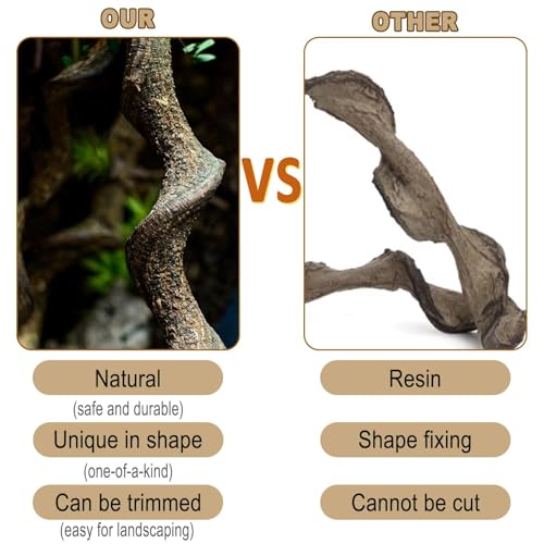 BNOSDM Reptile Forest Climbing Branch Decor Crested Gecko Climb Wood Natural Branches Tree for Snake Frog Chameleon Spider Bearded Dragon Terrarium Habitat Tank Accessories,3PCS