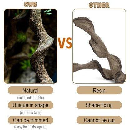 Reptile Decor 3PCS Natural Forest Branch Terrarium Habitat Decoration Lizard Climbing Tree Branch for Bearded Dragon Gecko Snake Frog Chameleon Spider