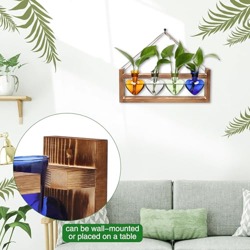 Plant Propagation Stations Heart Plant Terrarium Kit Gift for Women Plant Lover Glass Vases - color: Color01