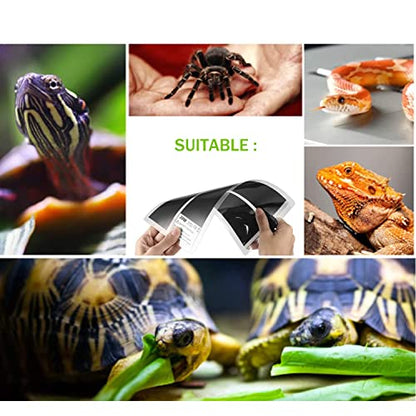 Reptile Heating Mat with Temperature Adjustment, Waterproof Reptile Heat Pad Under Tank Terrarium Heater for Amphibians, Small Animals, Seeding (20W - 16.5 x 11 in) - color: 20W - 16.5x11 IN