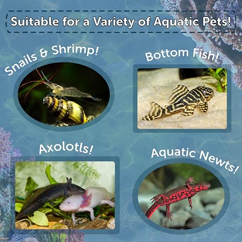 Axolotl Pellet Food 1/8" Soft Moist Sinking Pellets for Juvenile Axolotl Also Shrimp, Snails, Crayfish, Bottom Tropical Fish, Blackworm Pellets Included 12oz Canister - size: 12 Ounce (Pack of 1)