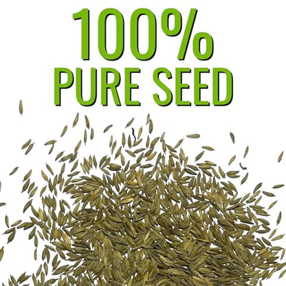 Seed Needs Dandelion Seeds to Plant Heirloom & Non-GMO Herbs 5 Packs - size: 5 Packs, style: Common Dandelion