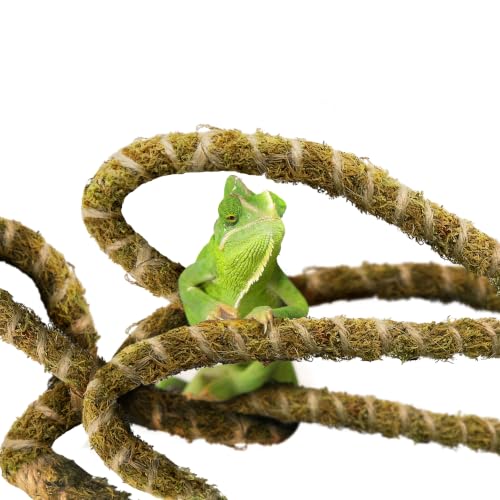 Duspro 10FT Reptile Vines for Climbing Bendable Branch for Reptile Natural Moss Rope Jungle Decor for Bearded Dragon, Chameleon Tank Accessories, Snake Gecko Lizard Terrarium - color: Green Reptile Vine - 10 Feet