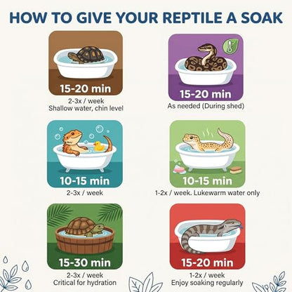 CTWPets Reptile Electrolyte Soak – Vitamin & Electrolyte Bath Concentrate for Bearded Dragons, Leopard Geckos, Tortoises & Snakes – Makes 100+ Baths (8oz, Easy Soak) - size: 8 Fl Oz (Pack of 1)