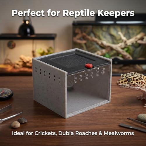 Cricket Keeper - Escape-Proof Insect Habitat Container for Dubia Cockroaches, Tarantulas, Spiders and Breadworms - Ventilated Bug Cage with Feeding Bowl (No Assembly Needed) (Grey) - color: grey