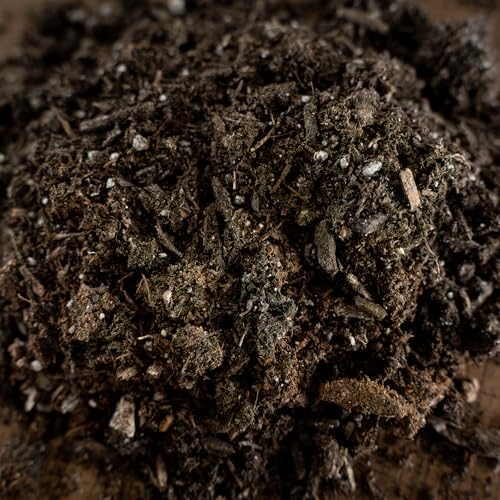 Premium Cactus & Succulent Soil Mix (0.5 Cu Ft) – Root Rot Protection with Volcanic Ash & Chicken Manure – Fast Draining Mix for Indoor Plants, Aloe, Citrus, & Palms – Organic, Ready-to-Use