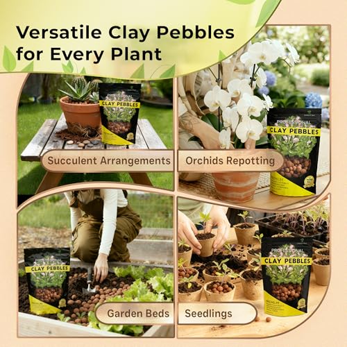 Professional Clay Pebbles for Plants 2.2 Quarts, Expanded Clay Pebbles for Hydroponics, Seedlings, Root Cuttings and Indoor Outdoor Plants, Lightweight Soil Additive, Made in USA - style: Clay Pebbles Soil Additive (2.2 Quarts)