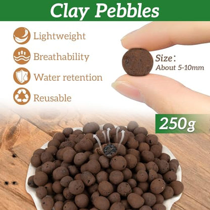 RAINFLOW Leca Clay Pebbles for Plants - 5mm-10mm Clay Balls for Plants Pebbles for Indoor Plant Hydroponic Growing Gardening Orchids Drainage Decoration Aquaponics Growing Terrarium 250g