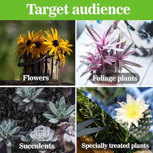 RAINFLOW Horticultural Charcoal for Plants - 290G Natural Earth Regulated Supplement for Potting Soil Indoor Plants, 3-5mm Succulent Soil, Organic Biochar, Paphiopedilum, Bonsai