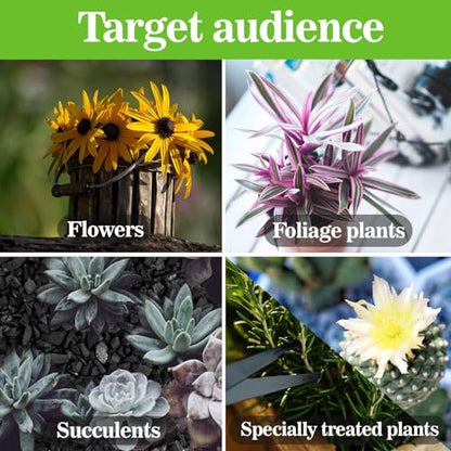 RAINFLOW Horticultural Charcoal for Plants - 290G Natural Earth Regulated Supplement for Potting Soil Indoor Plants, 3-5mm Succulent Soil, Organic Biochar, Paphiopedilum, Bonsai