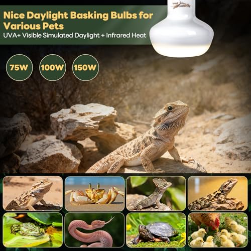 Reptile Heat Lamp, 2 Pack 100W Simulated Natural Sunlight Heat Lamp Bulbs Reptile Warm Light Lamps UVA Daylight Basking Light for Bearded Dragon Chameleon Turtle Snake Gecko Lizard Chicken, White - color: White, size: Day(100)