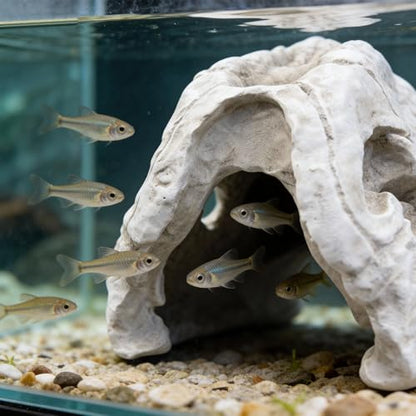 Animal Skull Aquarium Tank Decorations, Reptile & Amphibian Habitat Hideouts, Dinosaur T-Rex Dragon Decor Accessories for Fish, Lizard, Gecko