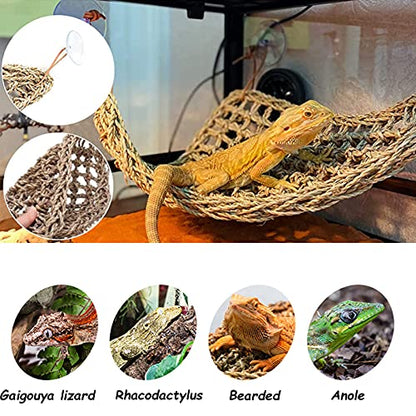 2 Pcs Chameleon Bowl (2.1" D*2.3" H) &3 Pack Bearded Dragon Hammock (11" L*8" W)