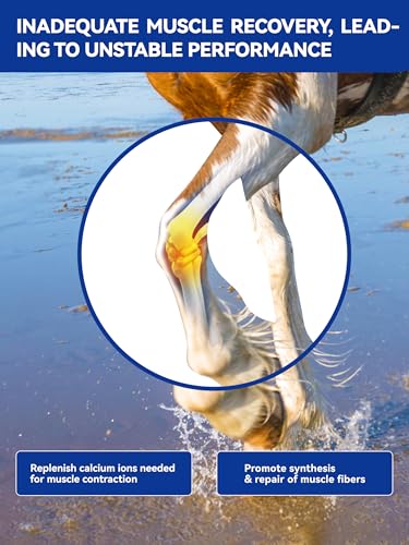 Horse Electrolytes Powder, Electrolyte for Horses with Sodium & Potassium, Equine Hydration Supplement-1400g - size: Big Tub