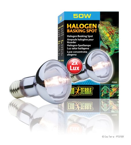 Exo Terra Sun Glo Halogen Basking Spot Lamp – 50W Reptile Light Bulb, Broad Spectrum Daylight, Enhances Coloration, Promotes Health, PT2181 - size: 50 Watts