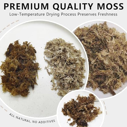Sphagnum Moss for Reptiles, 1.1LB Terrarium Reptiles Moss Green Dried, Moss Bedding for Turtles, Frogs, Snake, Gecko Reptile Substrate (1.1 LB)