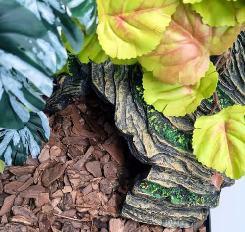 Reptile Hide Terrarium Decor Resin Reptile Hideouts Cave Habitat Decor for Gecko Leopard Lizards Turtle (Medium-A) - size: Medium-A