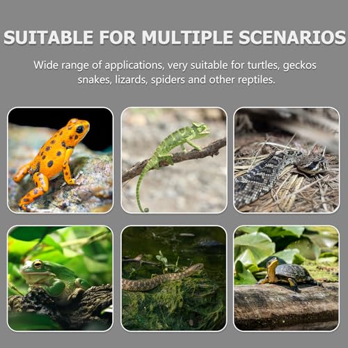 ABOOFAN Suction Cup Reptile Feeder Bowl Food Water Basin Escape-Proof Feeding Dish for Gecko Lizard Terrarium Supplies