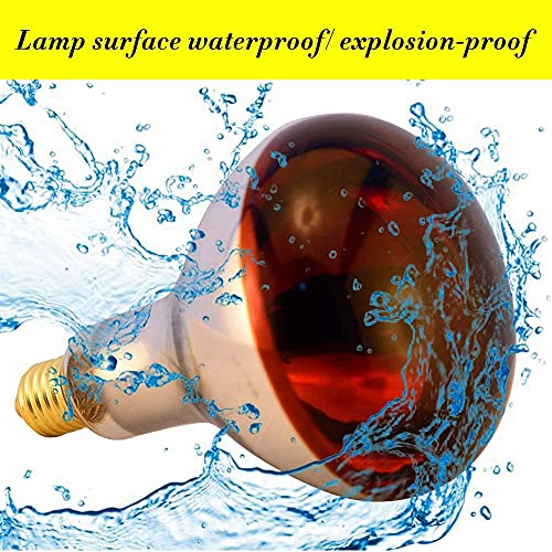 Heat Lamp Bulb R115 250 Watt 2 Pack Infrared Glass Lamp Bulb for Food Service, Brooder Bulb, Chicks, Pet, Bathroom, Light Therapy, Reptiles and Amphibian Use E26 Base - style: R115/250W