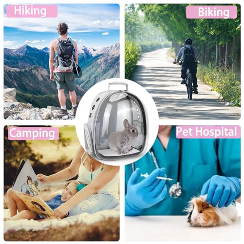 Small Pet Carrier Backpack Rabbit Carrier with Harness Vest Stretchy Elastic Leash Large Breathable Pet Carrier Airline Approved for Bunny Guinea Pig Ferret Hedgehog Kitten Travel Walking - color: Rabbit Carrier Backpack
