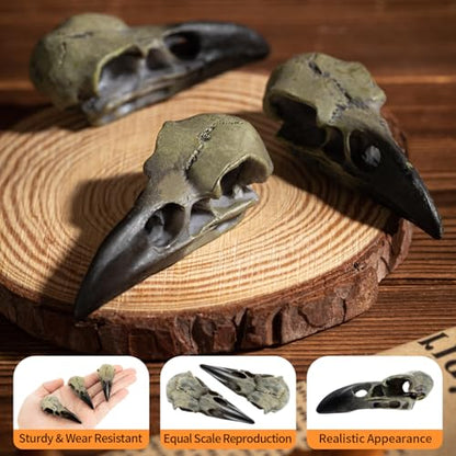 3Pcs Halloween Raven Skull Decor, 2.6 Inches Gothic Fake Crow Skull Pendant for Necklace, Wall Decorations - style: 3Pcs