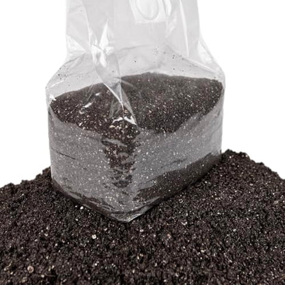 North Spore CVG (5 lb) CVG (Coco Vermiculite Gypsum) Sterile Bulk Substrate | Ideal for Beginner Growers | Made in USA | Grow Dung-Loving Mushrooms - size: 1 Count