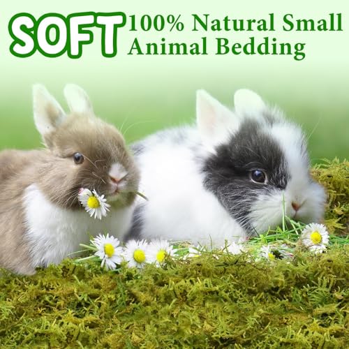 Halatool 25QT Hamster Moss for Bedding Nesting Hideout, 100% Natural Moss for Rabbits Squirrels Hamsters Guinea Pigs, Small Animals Cage Accessories Terrariums Reptiles Plants - size: 1.1lb/25qt