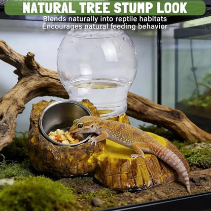 Tortoise Food Dish | Reptile Feeding Dish - Leopard Water and Food Bowl - for Enclosure Terrarium Turtle Tortoise Snake Bearded Dragon Lizard Chameleon Leopard