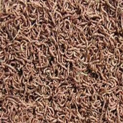 Bloodworms, Freeze Dried Grade A Fresh Floating Bloodworms for All Tropical Fish, Bettas, Discus, Cichlids, Community Fish, Turtles, Carnivore Tropical Fish - 1-lb - size: 1 Pound (Pack of 1)
