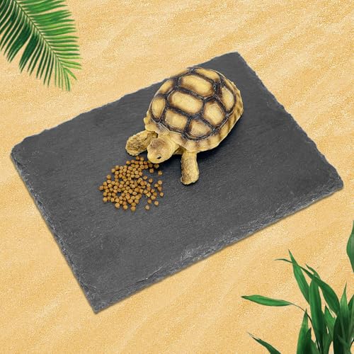 Reptile Basking Platform Tortoise Bearded Dragon Lizard Original Rock Slab,Easy to Grind the Nails,with Non-Slip mats,Natural Food Bowl,Moisturizing Effect (Small) - size: Small