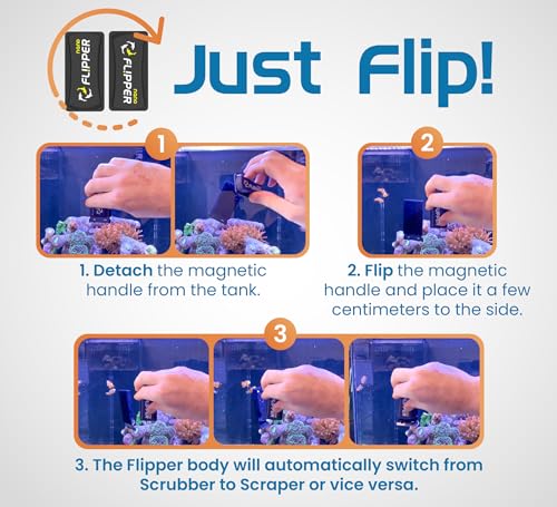- Flipper Nano Aquarium Algae Cleaner For Glass Tanks Only Upto 1/4-Inch … - size: 1 count (Pack of 1)