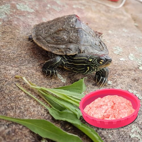 6 Pcs Gecko Feeding Cups,Silicone Geckos Food Cup,Silicone Gecko Feedings Cup,and Water Bowl,Reptile Feeding Cups for Geckos,Isopods,Lizards,Tarantula,Small Pets,Easy Clean & 6 Colors