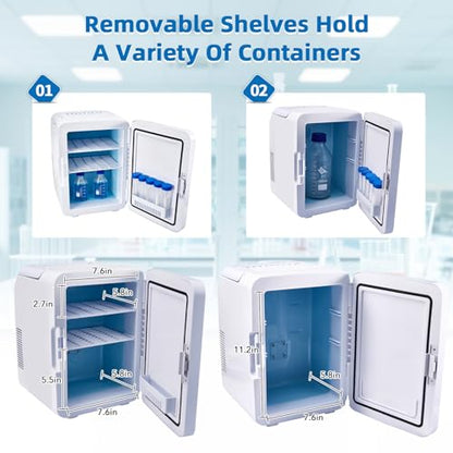 10L Incubator, 35-148℉ Bacteria Incubator, Thermostatic Cabinet Incubator for Lab General Purpose, Petri Dishes, Seed, 12V/110V