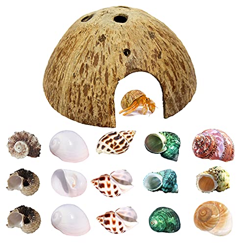 SINKOO 16PCS Hermit Crab Shells (7 Types) Growth, Natural Coconut Shell Hut for House Fish Tank Decor Hermit Crab Supplies Reptile Habitat Hideouts