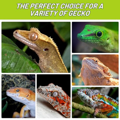 Crested Gecko Food Insect Puree, Banana Paste Reptile Food Made with Fresh Insects Gecko Food Complete Diet 2.82oz