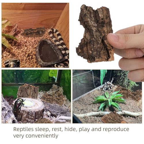 NUOBESTY 10pcs Cork Bark for Reptiles Natural Tree Bark Decor Lizard Climbing Platform Turtle Basking Terrarium Decorations