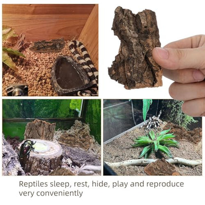 NUOBESTY 10pcs Cork Bark for Reptiles Natural Tree Bark Decor Lizard Climbing Platform Turtle Basking Terrarium Decorations