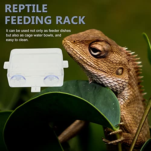 2pcs Transparent Reptile Feeding Bowls Escape Food and Water Dishes for Lizards Geckos and Bearded Dragons -Style Feeders for Reptile Pets