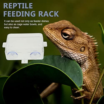 2pcs Transparent Reptile Feeding Bowls Escape Food and Water Dishes for Lizards Geckos and Bearded Dragons -Style Feeders for Reptile Pets