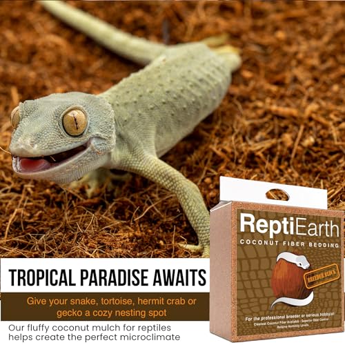 ReptiEarth Fine Coconut Fiber Substrate, Fluffy Small-Strand Reptile Substrate and Snake Bedding for Bioactive Terrarium Tanks, Organic Coco for Lizards, Frogs, Tarantulas (3 Pack Breeder Bundle) - size: 3 Pack Breeder Bundle
