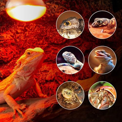 REPTI ZOO 25W Reptile Infrared Heat Lamp 2 Pack,Amphibian Heat Emitter Infrared Basking Spot Light Bulb for Small Geckos,Turtle,Bearded Dragon,Lizard,Tarantulas