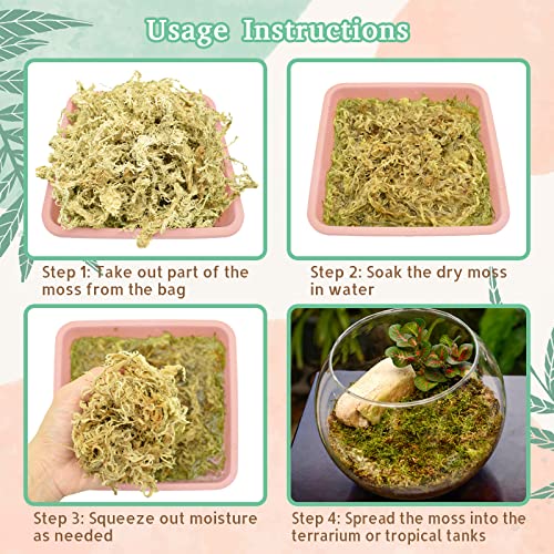 Riare 20QT Natural Sphagnum Moss for Reptiles 14OZ Terrarium Reptiles Moss | Dried Terrarium Moss Bedding for Snakes Turtles Frogs Geckos Ball Pythons Lepard Gecko Lizards Bearded Dragon & Humid Hides - color: 14 OZ