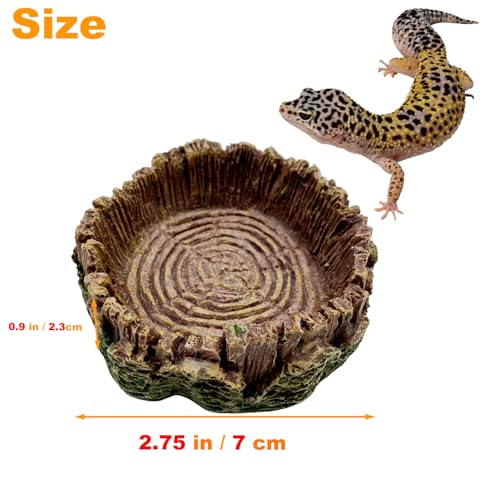 2 Pack Small Reptile Food Bowls, Reptile Feeding Terrarium Bowls for Bearded Dragon Lizard Frog Gecko Tortoise Hermit Crab Snail (Brown B) - color: Brown - 2 Pack S+M Bowls
