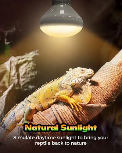Reptile Heat Lamp, Simulate Natural Sunlight Heat Light Bulbs 2 Pack 75W Amphibians Basking Heat Lamp Bulbs for Reptiles, Bearded Dragon, Lizard, Turtle, Chicken