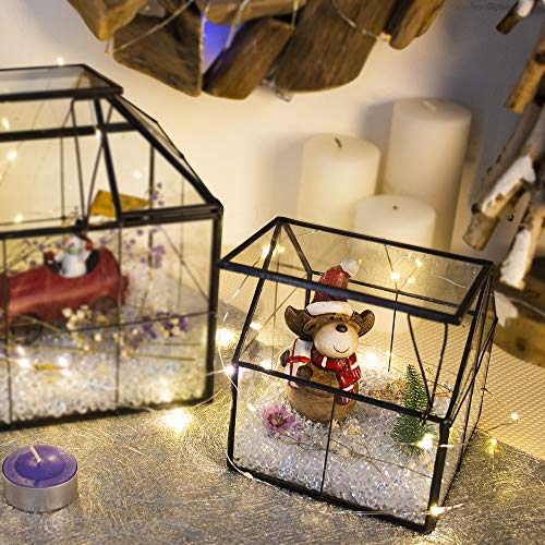 Ferrisland Glass Plant Terrarium Container Wardian Case Indoor Small Succulent Terrarium Planter w/Door for Tabletop Decor DIY - 4.9"x4.3"x4.3" - size: 4.3"L x 4.3"W x 4.9"H